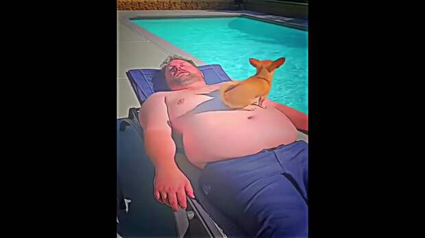 Скоро лето https://t.me/webmoney_dn/318645Video: Клип