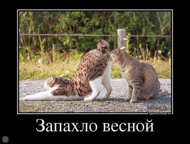Спасибо женщинам за эволюцию! 0