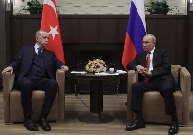 Президент РФ Владимир Путин и президент Турции Реджеп Тайип Эрдоган во время встречи в сочинской резиденции Бочаров Ручей Президент РФ Владимир Путин и президент Турции Реджеп Тайип Эрдоган во время встречи в сочинской резиденции Бочаров Ручей - РИА Новости, 1920, 31.05.2022