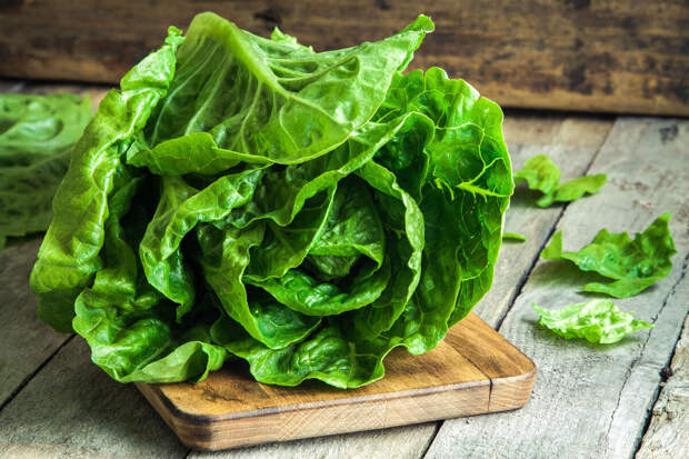 JСЕМ: листовая зелень и крестоцветные овощи нормализуют уровень сахара в крови