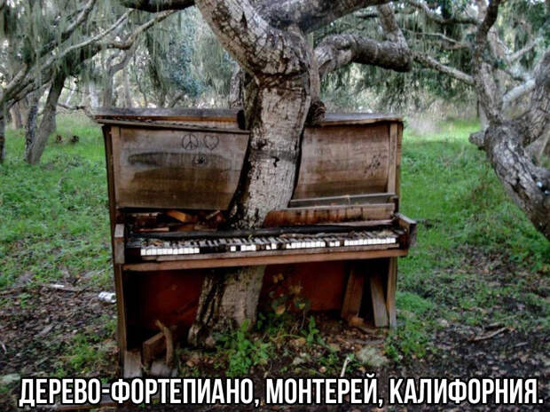 Магия заброшенных мест заброшки, история, пейзажи, факты, фото