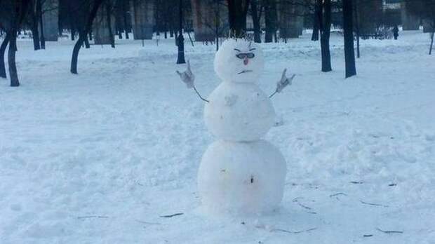 Прикольные картинки