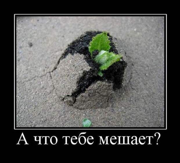 Демотиваторы  демотиваторы, прикол, смех, юмор