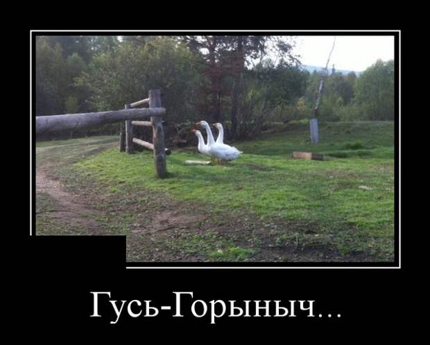 Демотиваторы Демотиваторы