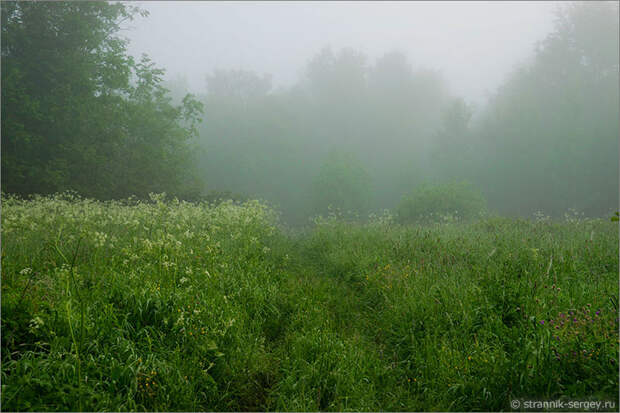 Русская природа - рассвет