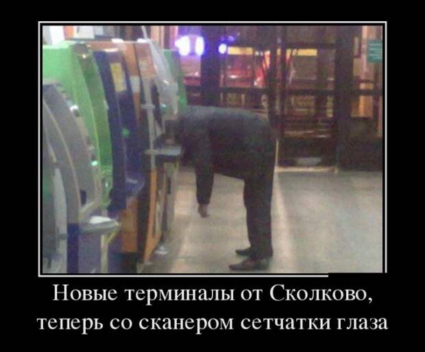 Демотиваторы (30 фото)