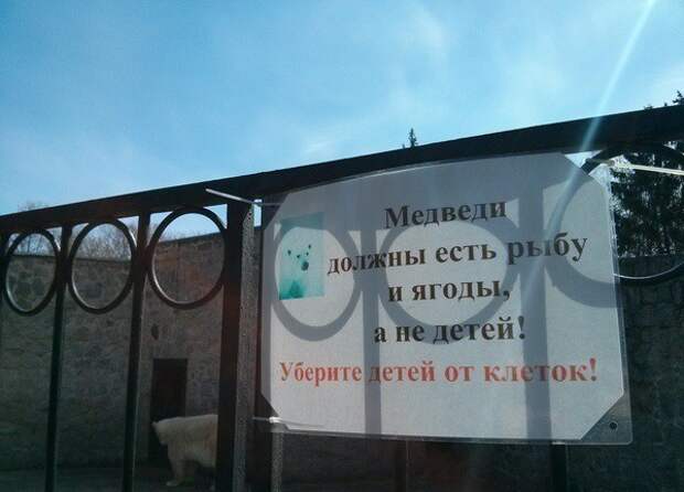 Иногда зверушки не выдерживают Иногда зверушки не выдерживают дети, коты, прикол, юмор
