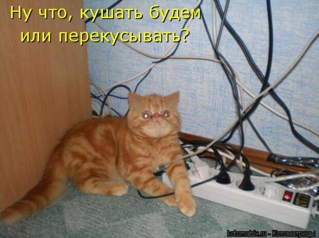 Мысли вслух :)