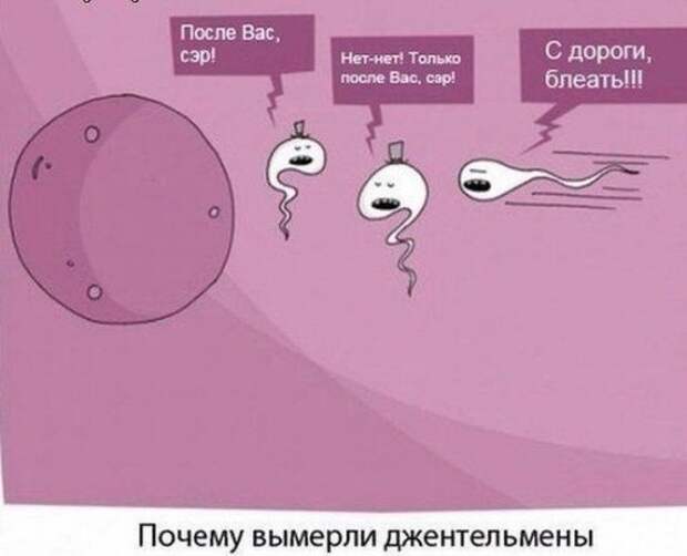 Весёлые комиксы - забавные картинки