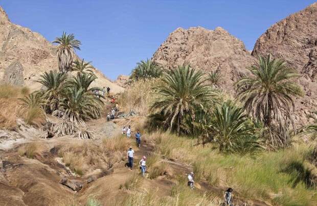 Курорты Египта без наших туристов Курорты Египта без наших туристов