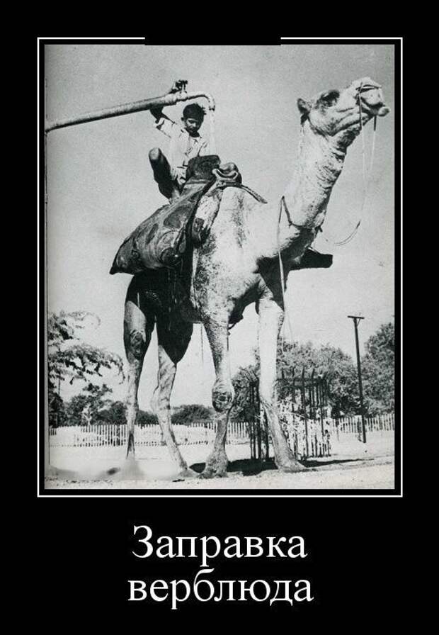 Демотиваторы Демотиваторы