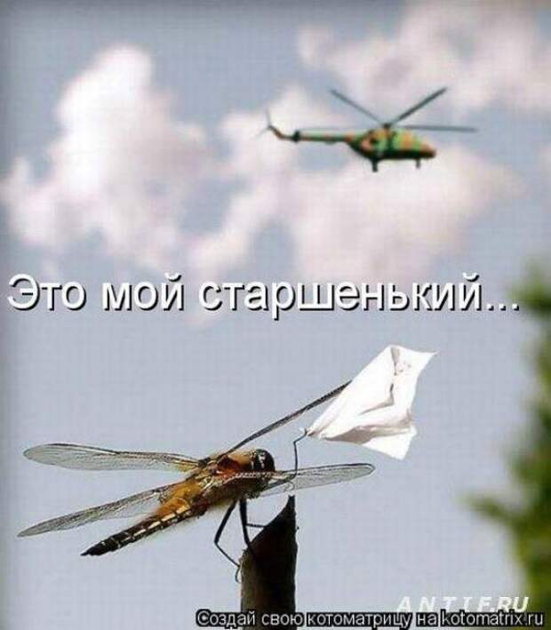 Котоматрица Котоматрица