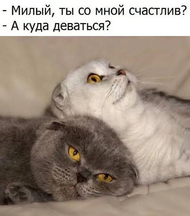 Раньше со словами: Раньше со словами: