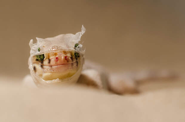 Фотоподборка за 09.12.2013 кадр, прикол, фото, фотоподборка