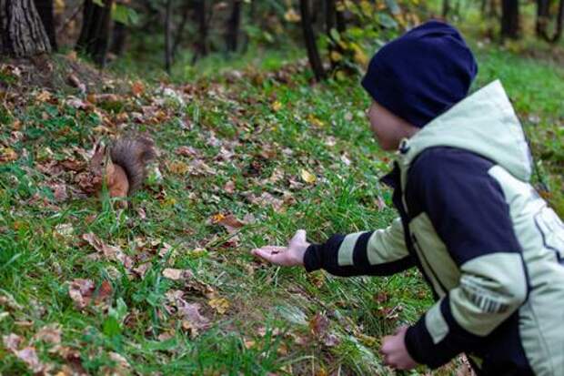 Чистота как навык: почему гигиеническое воспитание должно быть частью учебной программы