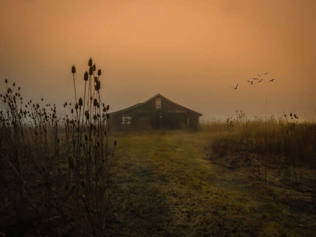 Cheap-Camera-Amazing-Art-Real-Estate-Photographer-Single-Mother-and-Artist1__880