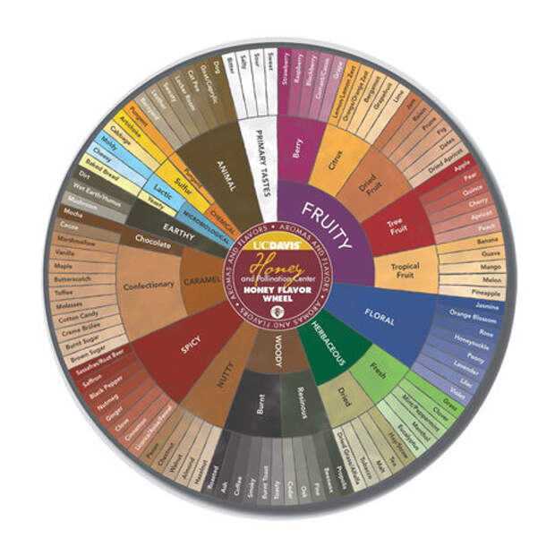 The Honey Flavor and Aroma Wheel created by researchers at the University of California, Davis. The Honey Flavor and Aroma Wheel created by researchers at the University of California, Davis.
