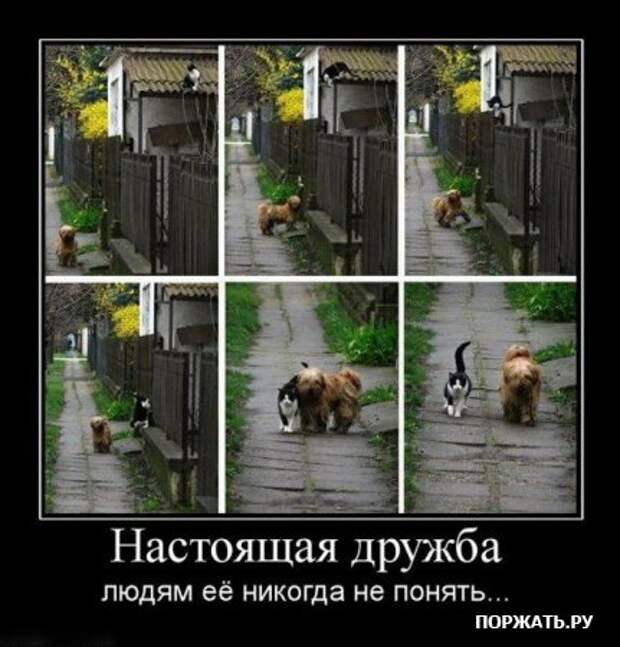 Отборные демотиваторы к понедельнику