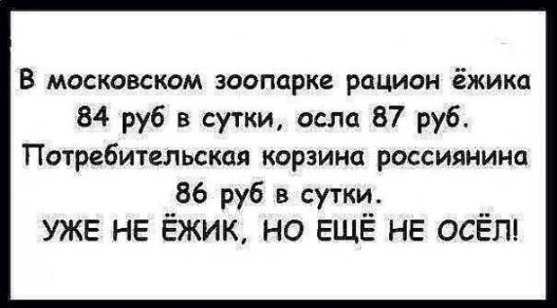 Картинки, юмор, приколы