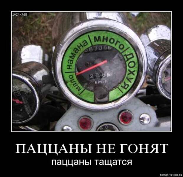 Все самое прикольное в одной подборке демотиваторов.