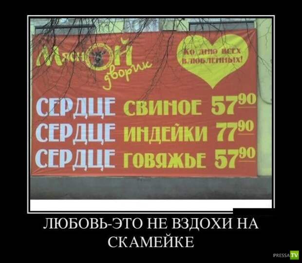 Демотиваторы на июнь, часть 15 (34 фото)