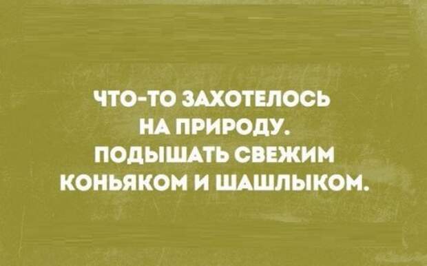 Прикольные открытки для хорошего настроения (19 шт)
