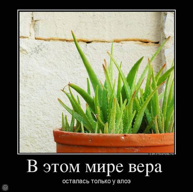 Демотиваторный позитив 17