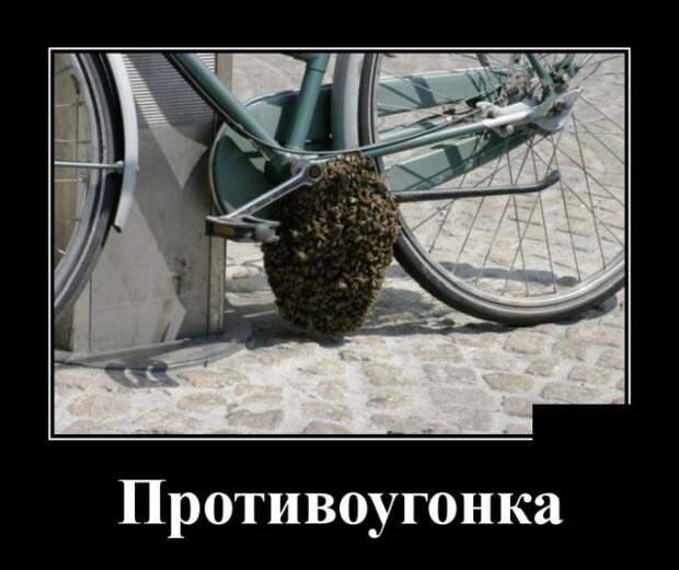 Демотиваторы (30 фото)
