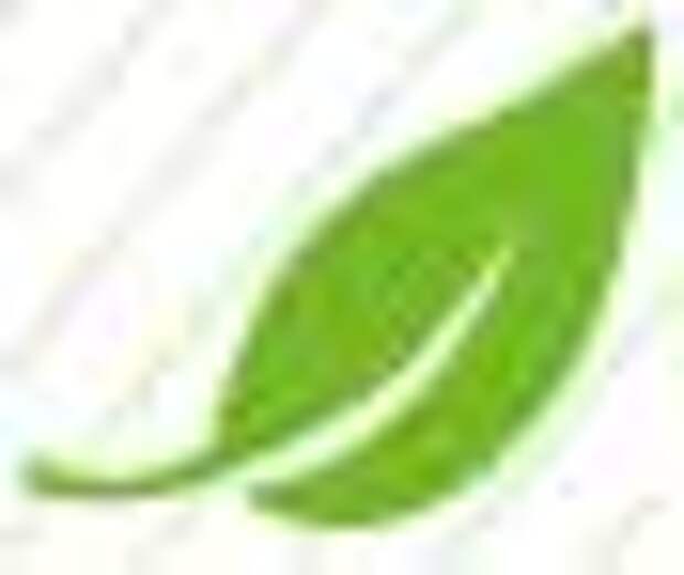 tea-leaf-green.jpg tea-leaf-green.jpg
