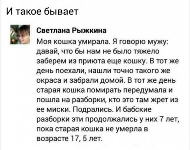 Прикольные картинки снежным вечером (54 шт)