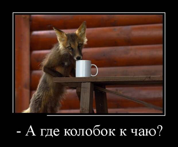 Демотиваторы (30 фото)