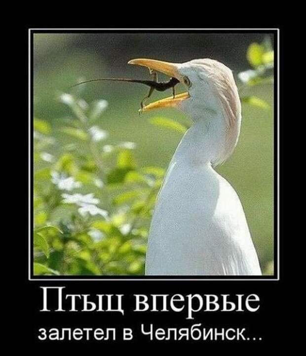 Демотиваторы (30 фото)