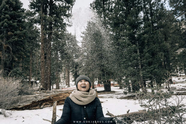 Winter in Mount San Jacinto State Park-18.jpg