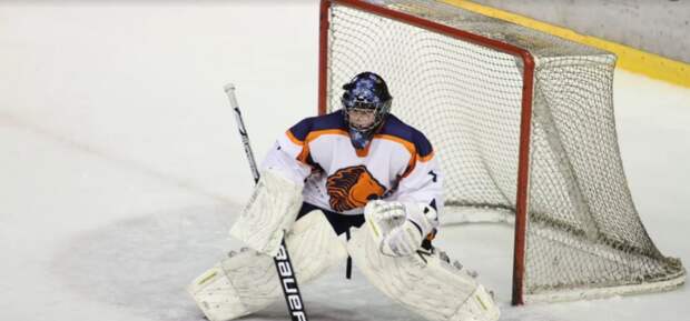 Хоккей. Фото: pixabay.com