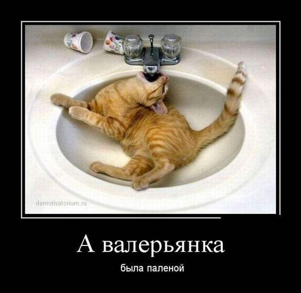Про Карлсона, Лувр и попытку заглянуть в себя. Свежие демотиваторы