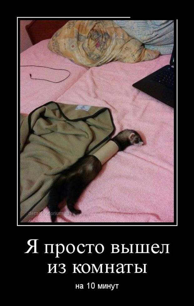 Демотиваторы демотиваторы, юмор
