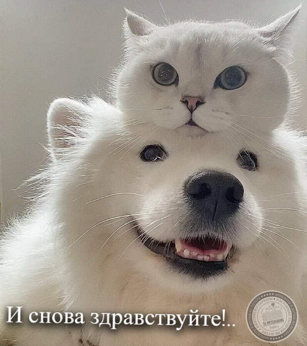 И снова здравствуйте