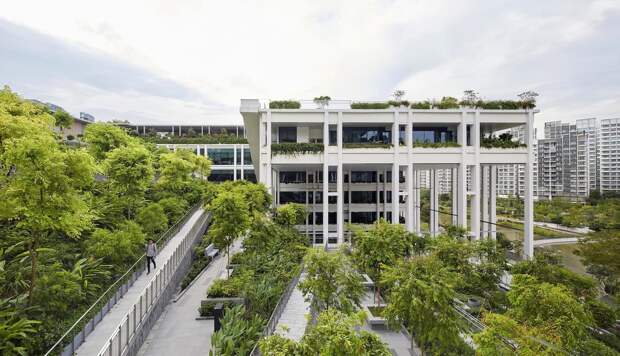 Как выглядит общественный центр и поликлиника в Сингапуре