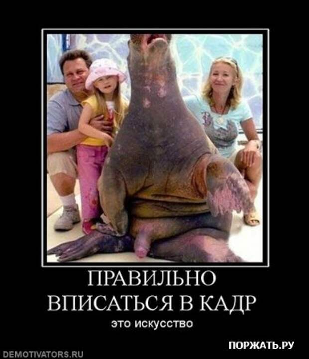 Демотиваторсы