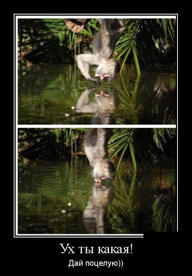 Демотиваторы (30 фото)