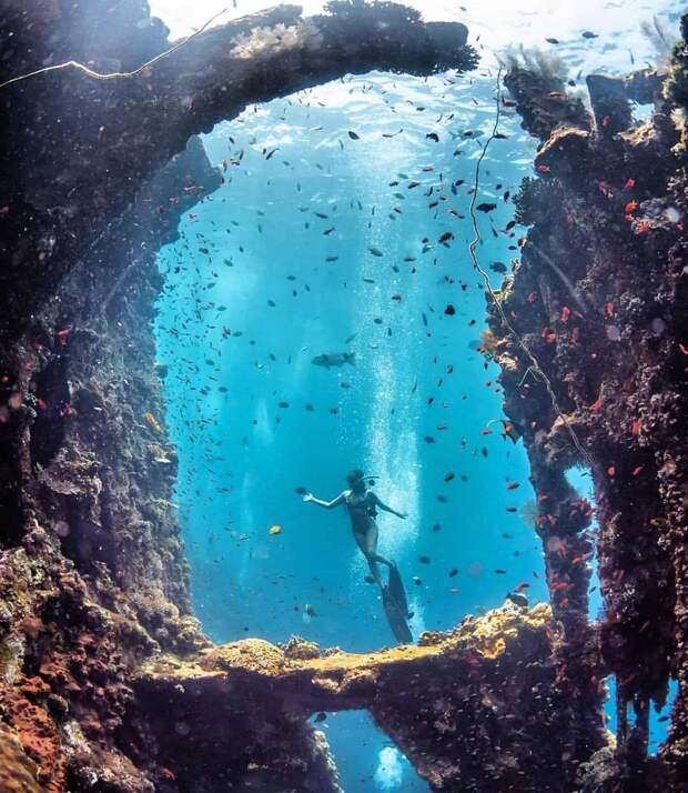 Спортивная фотография freediving/фридайвинг.