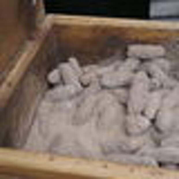 Milbenkäse in a box with mites.
