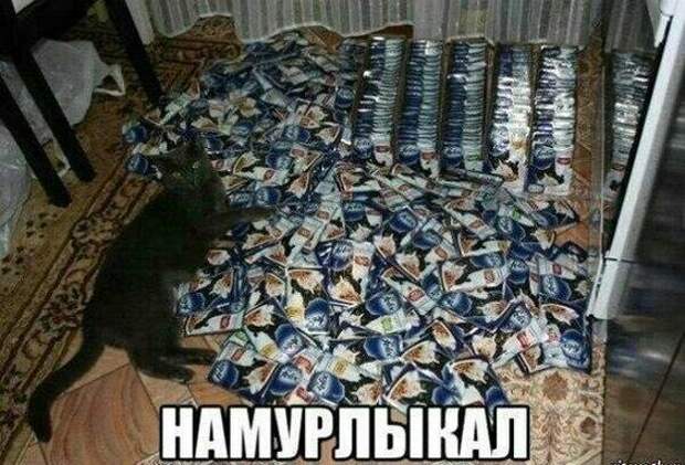 Ржачные свежие мемы (суббота)