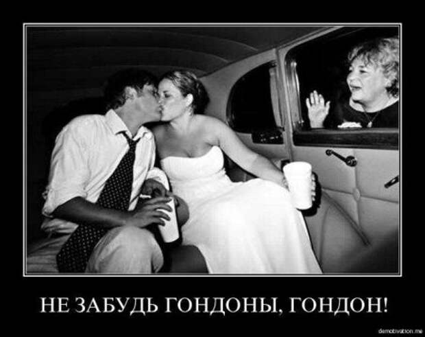 Демотиваторы про котэ и не только.