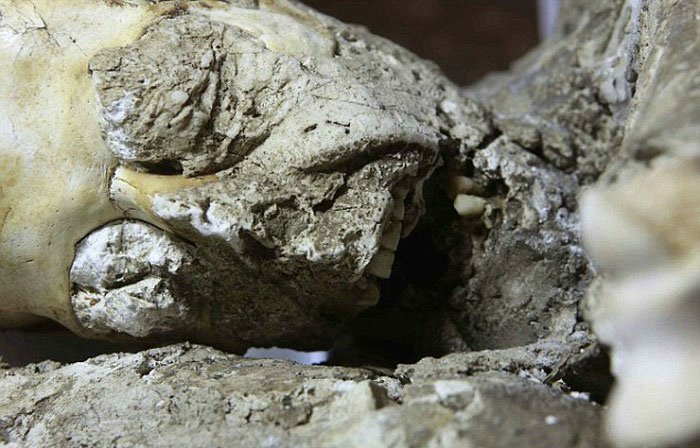 Страшные находки под застывшей лавой Везувия