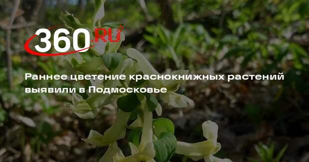 Раннее цветение краснокнижных растений выявили в Подмосковье
