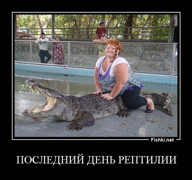 Демотиваторы демотиваторы, прикол, смех, юмор