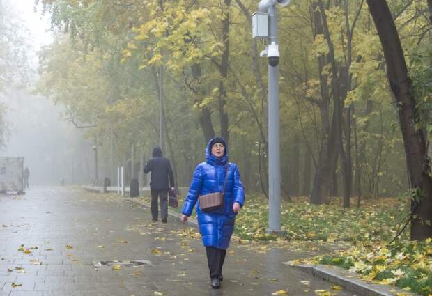 Синоптики рассказали о циклонах, которые принесут в Свердловскую область осеннюю погоду