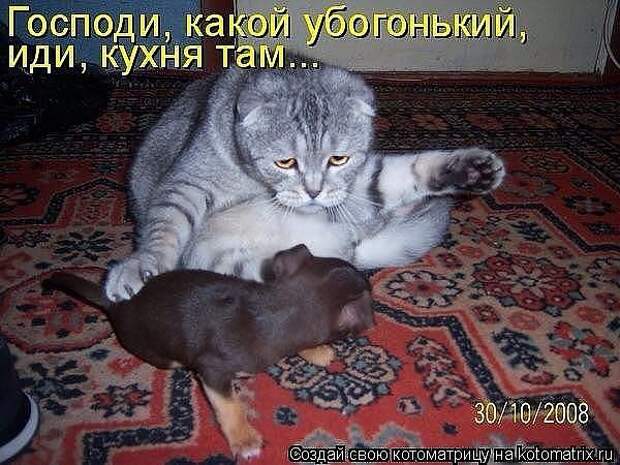3573123_getImage_33 (600x450, 61Kb)