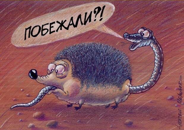 Карикатуры